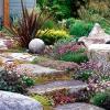 התמונה של garden12